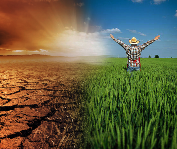 Barren land to fertile Fields Bio.SoilZ